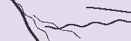 Code Captcha