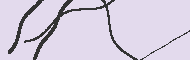 Code Captcha