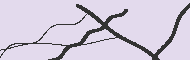 Code Captcha