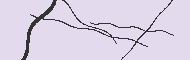 Code Captcha