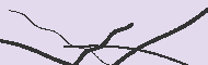 Code Captcha