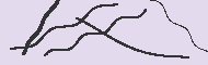 Code Captcha