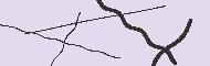 Code Captcha